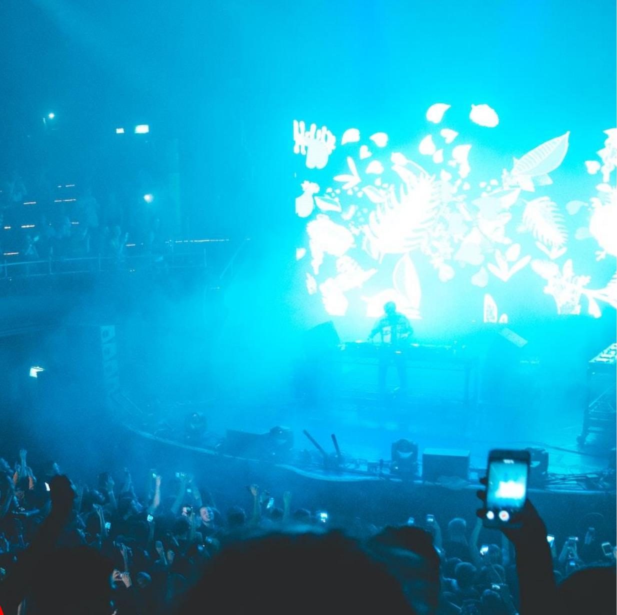 Concert crowd under blue stage lighting at a CDN Group production
